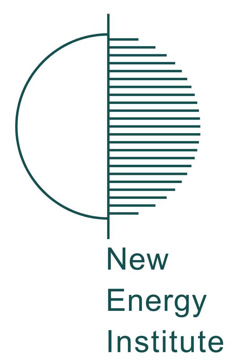 new energy institute